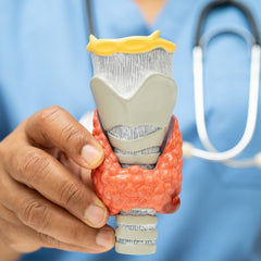 Implantologie - SurgicMate