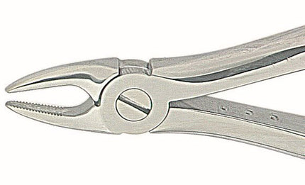 Produktfoto: Zahnzange -engl.- Fifo fig.29s, Kohler Medizintechnik, Art.-Nr. 2016