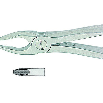 Produktfoto: Zahnzange -engl.- Fifo klein fig.34n, Kohler Medizintechnik, Art.-Nr. 2121